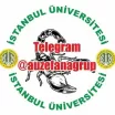 YÖNETİM BİLİŞİM SİSTEMLERİ Telegram grubu