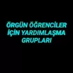 Örgün Kamu yönetimi Telegram grubu
