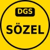 DGS Sözel Çıkmış Sorular PDF