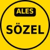 ALES Sözel Çıkmış Sorular PDF