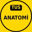 TUS Anatomi Çıkmış Sorular PDF