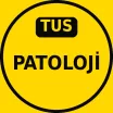 TUS Patoloji Çıkmış Sorular PDF
