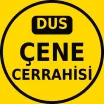 DUS Çene Cerrahisi Çıkmış PDF