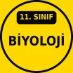 11. Sınıf Biyoloji