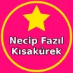Necip Fazıl Kısakürek Burada