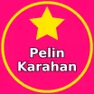Pelin Karahan Burada