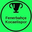 Fenerbahçe Kocaelispor Telegram kanalı
