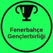 Fenerbahçe Gençlerbirliği Telegram kanalı