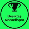 Beşiktaş Kocaelispor Telegram kanalı