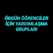Örgün Kamu yönetimi