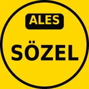 ALES Sözel Çıkmış Sorular PDF