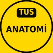 TUS Anatomi Çıkmış Sorular PDF