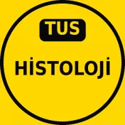 TUS Histoloji Çıkmış Sorular PDF