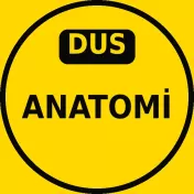DUS Anatomi Çıkmış Sorular PDF