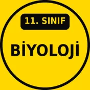 11. Sınıf Biyoloji