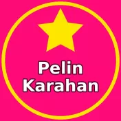 Pelin Karahan Burada