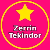 Zerrin Tekindor Burada